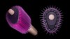 b596260c2fa1774d5d4d3ceb00c54b18